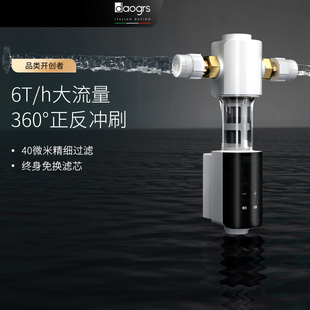 DG600前置过滤器全屋自来水反冲洗家用别墅中央净水器 daogrs