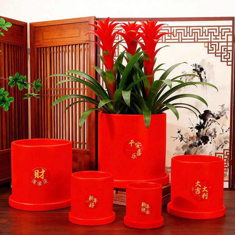 红色花盆结婚喜庆摆件陶瓷花盆带托盘新年福桶蝴蝶兰自吸水透气盆