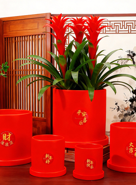 红色花盆喜庆摆件简约陶瓷花盆带托盘新年福桶蝴蝶兰自吸水透气盆