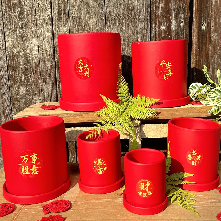 创意中国红喜庆红色陶瓷花盆带托盘蝴蝶兰专用透气盆多肉盆发财盆
