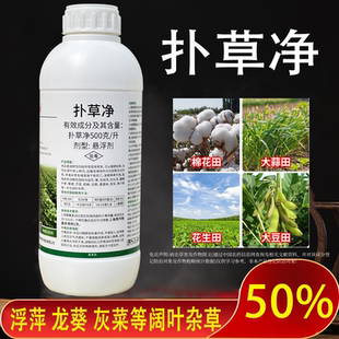 扑草净除草剂浮萍水草青苔阔叶杂草大豆茶园棉花烂根型封闭除草剂