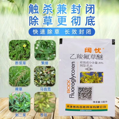 果尔云杉松树针叶苗圃乙羧氟草醚