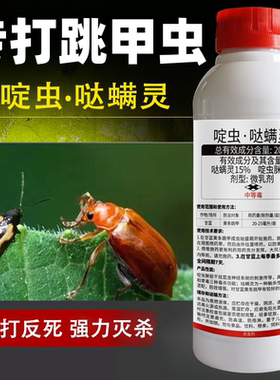 跳甲虫专用药啶虫哒螨灵特效蔬菜黄皮跳甲菜虫一扫光农药杀虫剂