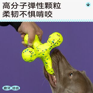 QMONSTER新品ETPU不倒胶磨牙玩具狗狗清洁齿玩具柔韧耐咬宠物用品