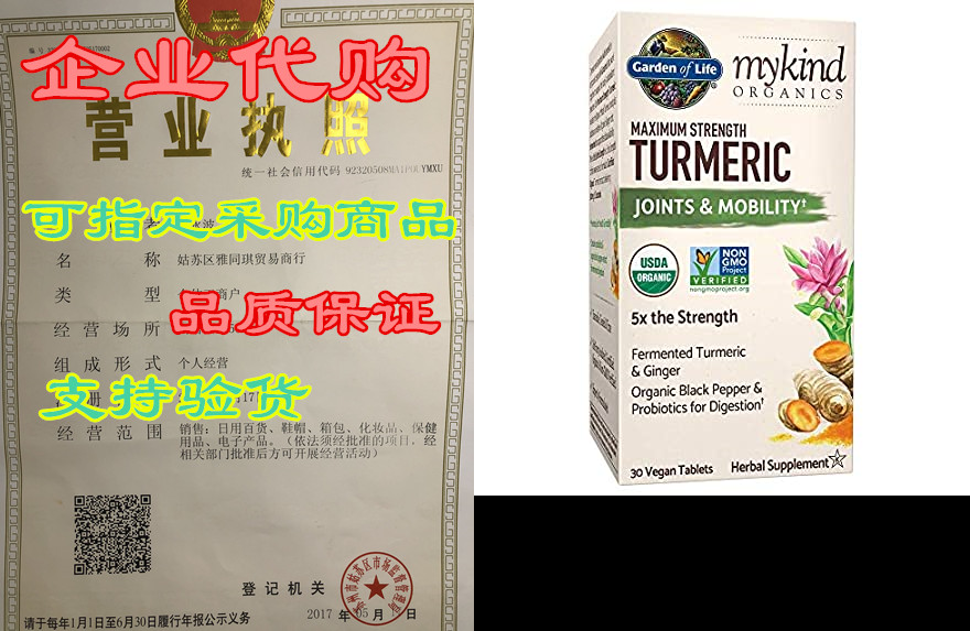 Garden of Life mykind Organics Maximum Strength Turmeric