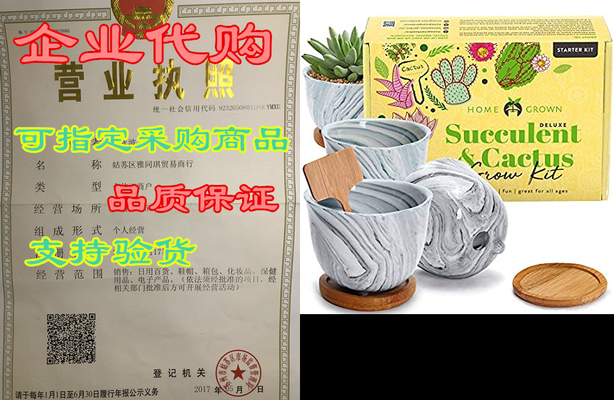 deluxe succulent & cactus seed grow kit - complete in