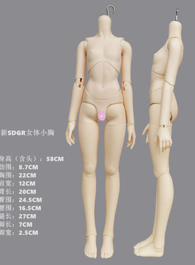 1/3BJD娃娃SD 3分女体 大女身体 SD13 SDGR 18YRS 4SDOLL
