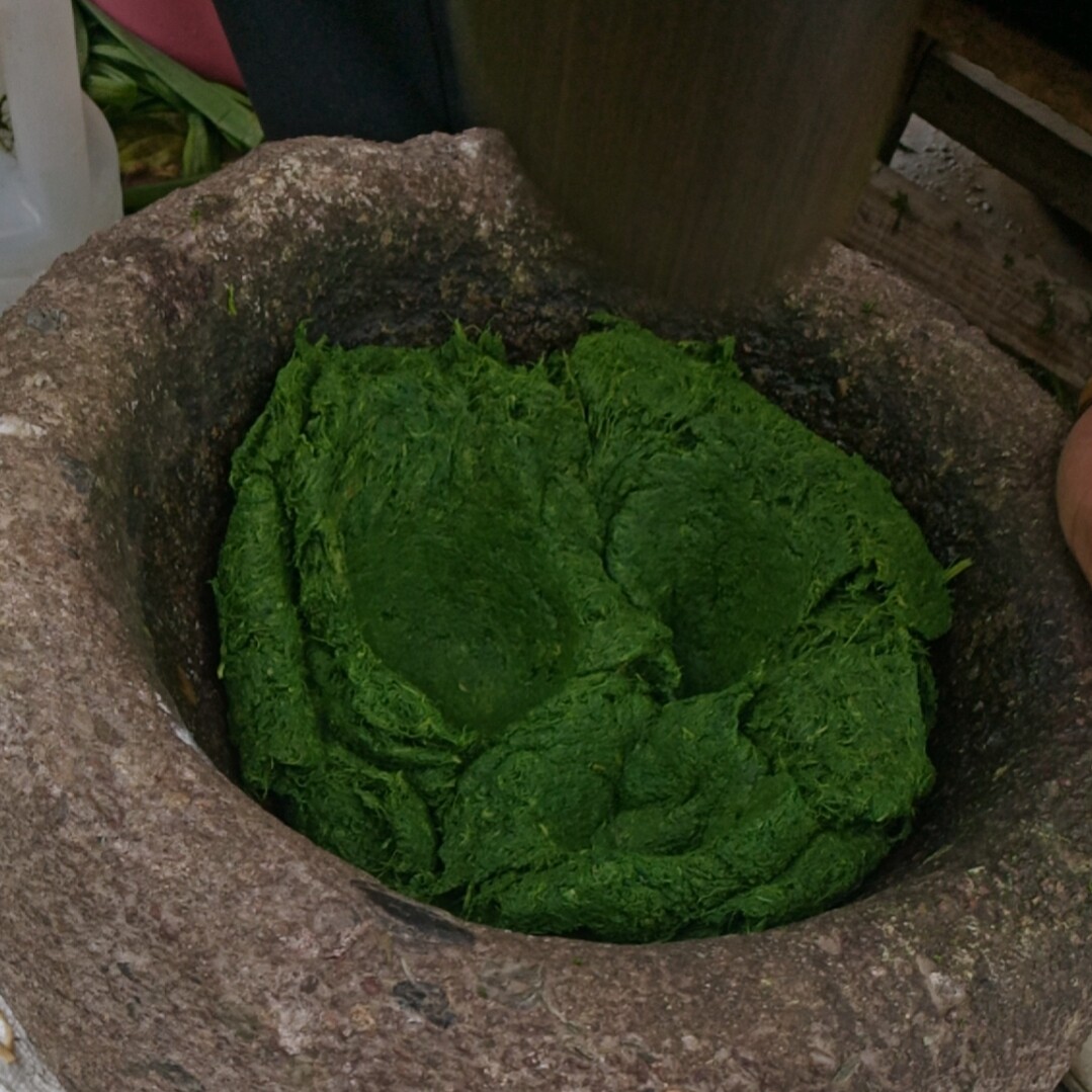 艾泥野生新鲜艾草艾叶食用鲜青团清明菜粑粑糍粑清明草清明果艾蒿