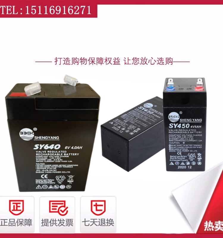 SHENGYANG晟阳蓄电池SY440/450/640/645 玩具车童车电子称用电瓶
