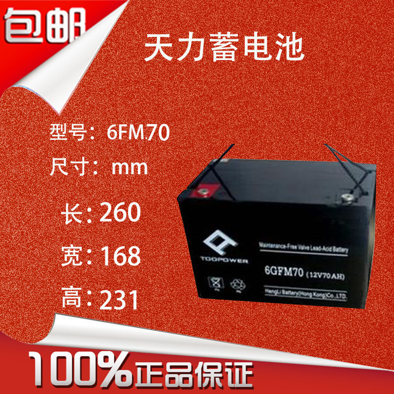 德国赛能天力  6-GFM-70 12V70AH 铅酸免维护蓄电池 UPS专用