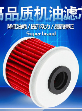 Cyleto适配HM Moto 250 290 300 450 490 500机油滤芯滤清器机滤