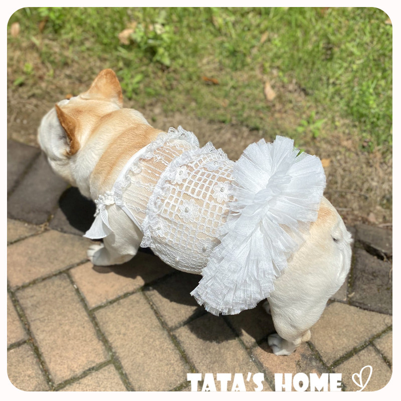 它它家原创宠物狗狗婚纱法斗柯基泰迪雪纳瑞白色吊带礼服连衣裙夏