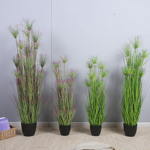 仿真植物水草盆栽仿真植物