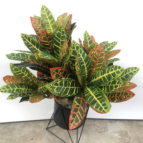 仿真植物 变叶木
