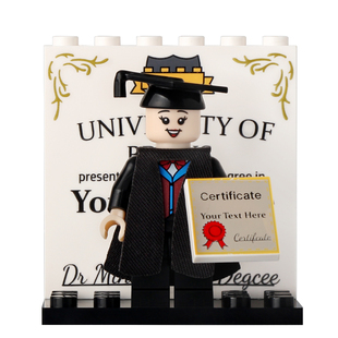 适用乐高积木人仔抽抽乐男女毕业生背景板学士帽学士服毕业季玩具