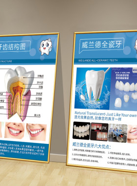 牙科宣传海报挂图口腔牙科诊所门诊墙面装饰挂画牙齿结构图壁画