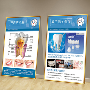 牙科宣传海报挂图口腔牙科诊所门诊墙面装饰挂画牙齿结构图壁画