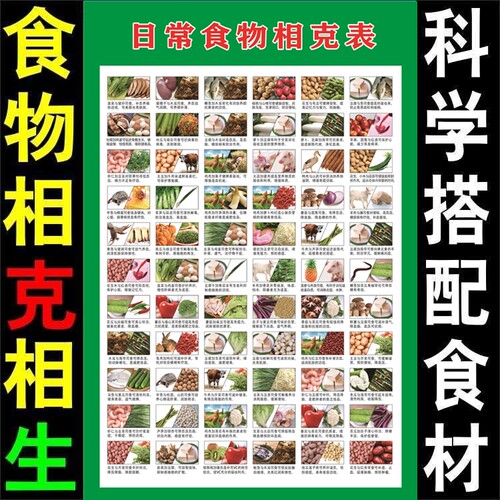 食物相宜相克挂图家庭厨房食物属性搭配对照表大全宜忌图解海报