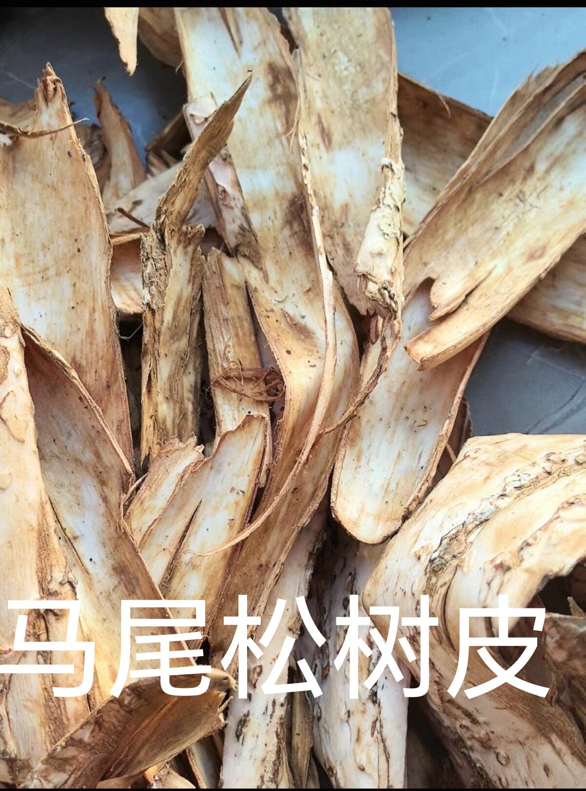 新鲜青松衣云南野生马尾松树皮新鲜松树皮清热二层下单现采