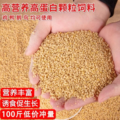 小鸡饲料开口料中大鸡养