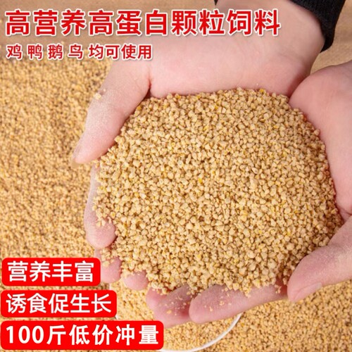 小鸡饲料开口料中大鸡养