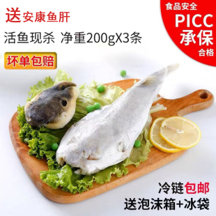 豚之杰河豚鱼食用200g 3条已处理淡水鱼河豚生鲜新鲜养殖暗纹生鱼