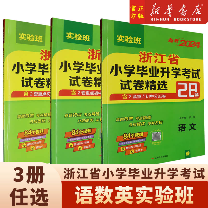 语数英任选】备考2024浙江省小