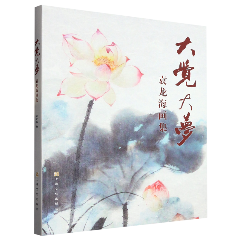 大觉大梦:袁龙海画集