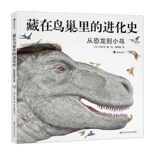藏在鸟巢里的进化史:从恐龙到小鸟