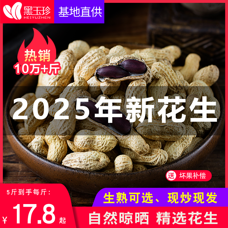 黑玉珍山东黑花生500g 可种植带壳新货 生的熟的都有黑皮晒干大