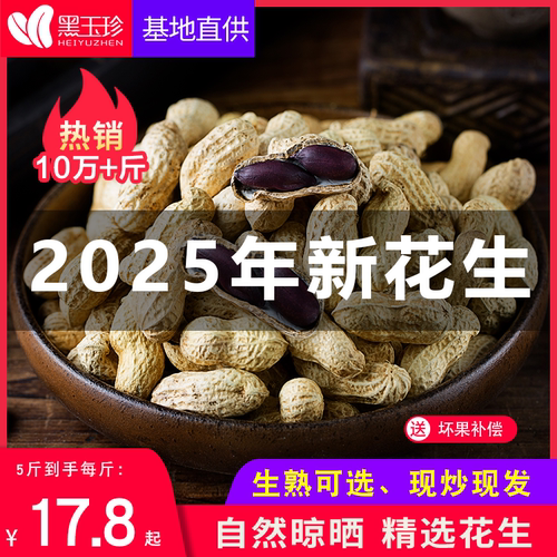 山东黑花生种植新货黑玉珍花青素