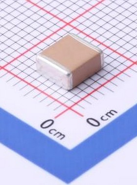 FS55X106K101EGG 贴片电容(MLCC) 10uF ±10% 100V 2220