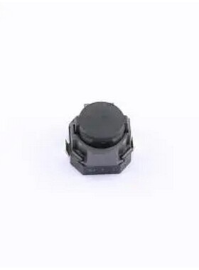 EVPASCB1A EVPASCB1A - 轻触开关