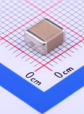 FS55X106K101EHG 贴片电容(MLCC) 10uF ±10% 100V 2220
