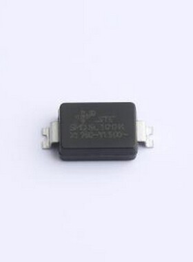 SMDY13225SL100K0 安规电容 10pF ±10% SMD,8.1x6mm