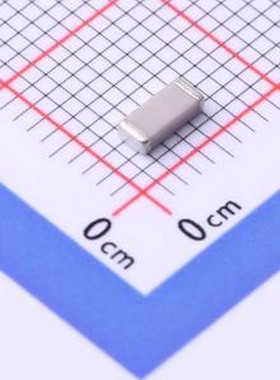 C1808N101J302T 贴片电容(MLCC) 100pF ±5% 3kV 1808