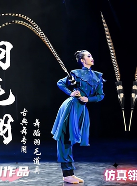 翎子翎毛头饰京剧花旦头饰孙悟空表演羽毛山鸡毛戏曲翎子翎毛道具