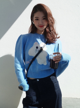 ins小众设计卡通猫咪刺绣少女短款长袖针织衫春秋蓝色套头毛衣女
