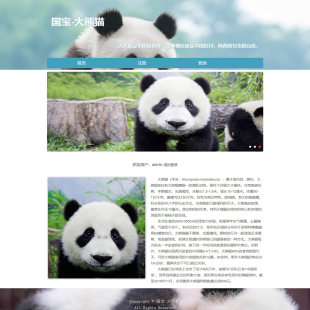 PHP宠物动物科普网页设计制作成品 国宝-大熊猫 3页 注册登录功能