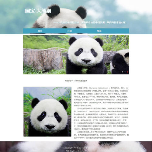 PHP宠物动物科普网页设计制作成品 国宝-大熊猫 3页 注册登录功能