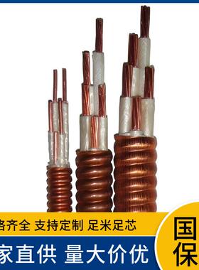 BTLY 3+2 4+1芯*95 120 150 185 240隔离型柔性矿物绝缘电缆