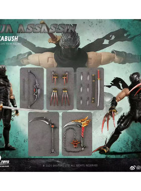 BROTOYS 1/12 忍者龙剑传 龙隼 可动人偶 LR010 现货