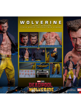 HT Hot Toys 1/6 死侍与金刚狼 金刚狼 MMS756 补款