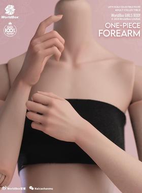 Worldbox 1/6 女素体配件包 一体臂AT208 手型包AT209 现货