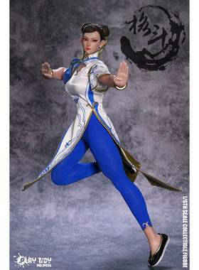 PLAY TOY 1/6 格斗女神6代 P026 可动人偶手办 现货