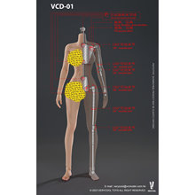 VERYCOOL 1/6 VCD02 素体 标准通用体型 硅胶女素体 现货