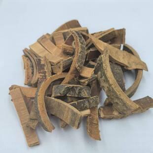 秦皮 梣皮 厚秦皮 岑皮 秦白皮 中药材 供应