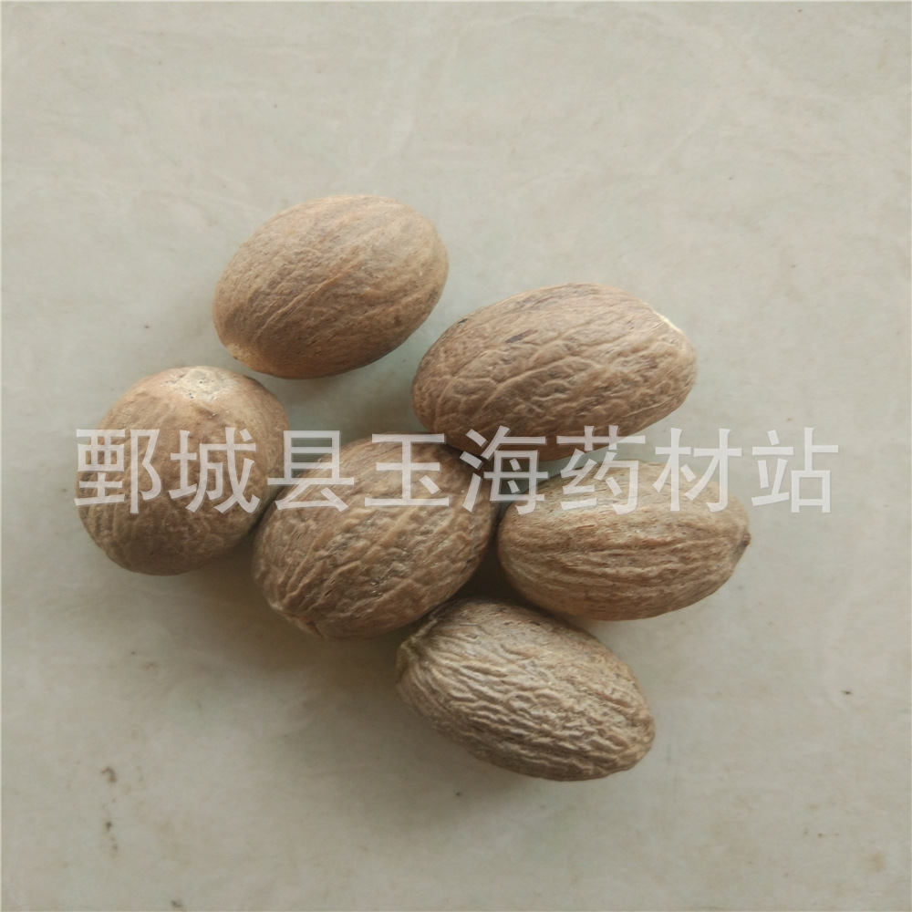 肉豆蔻 肉蔻肉蔻肉扣 玉海药材各种中药材