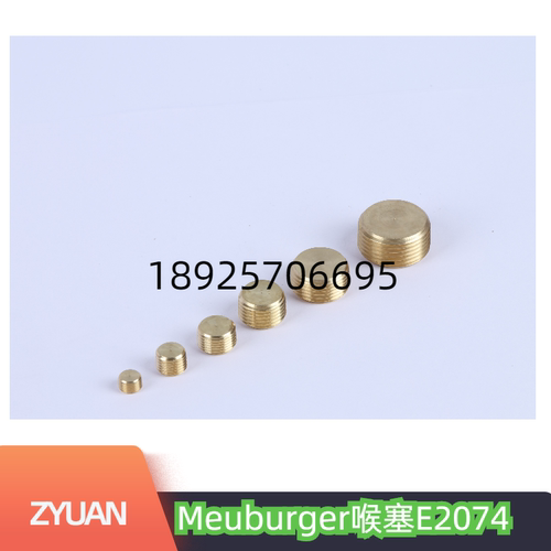 Meusburger喉塞E2074/10/1/4
