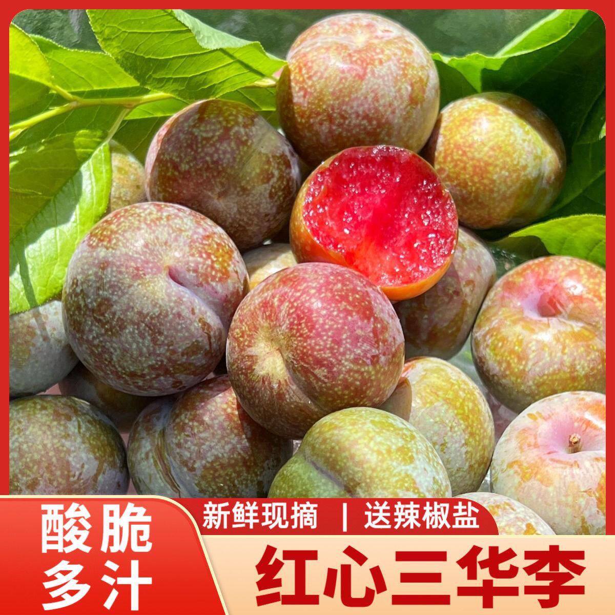 顺丰】三华李新鲜福建芙蓉李红心李非味帝李玫瑰血杏李现摘现发5